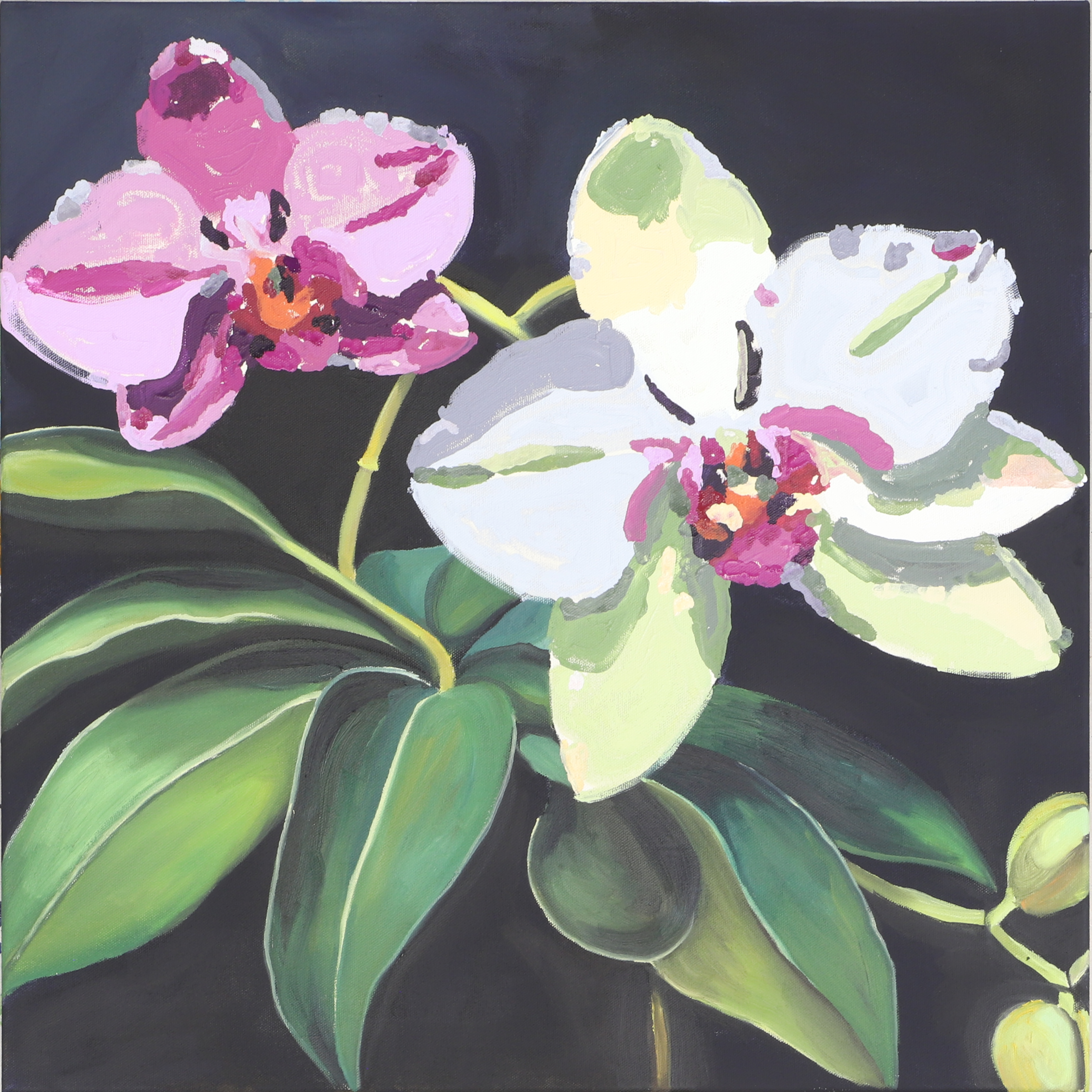 Orchid Diptych with Gretta Louw Series&nbsp;1