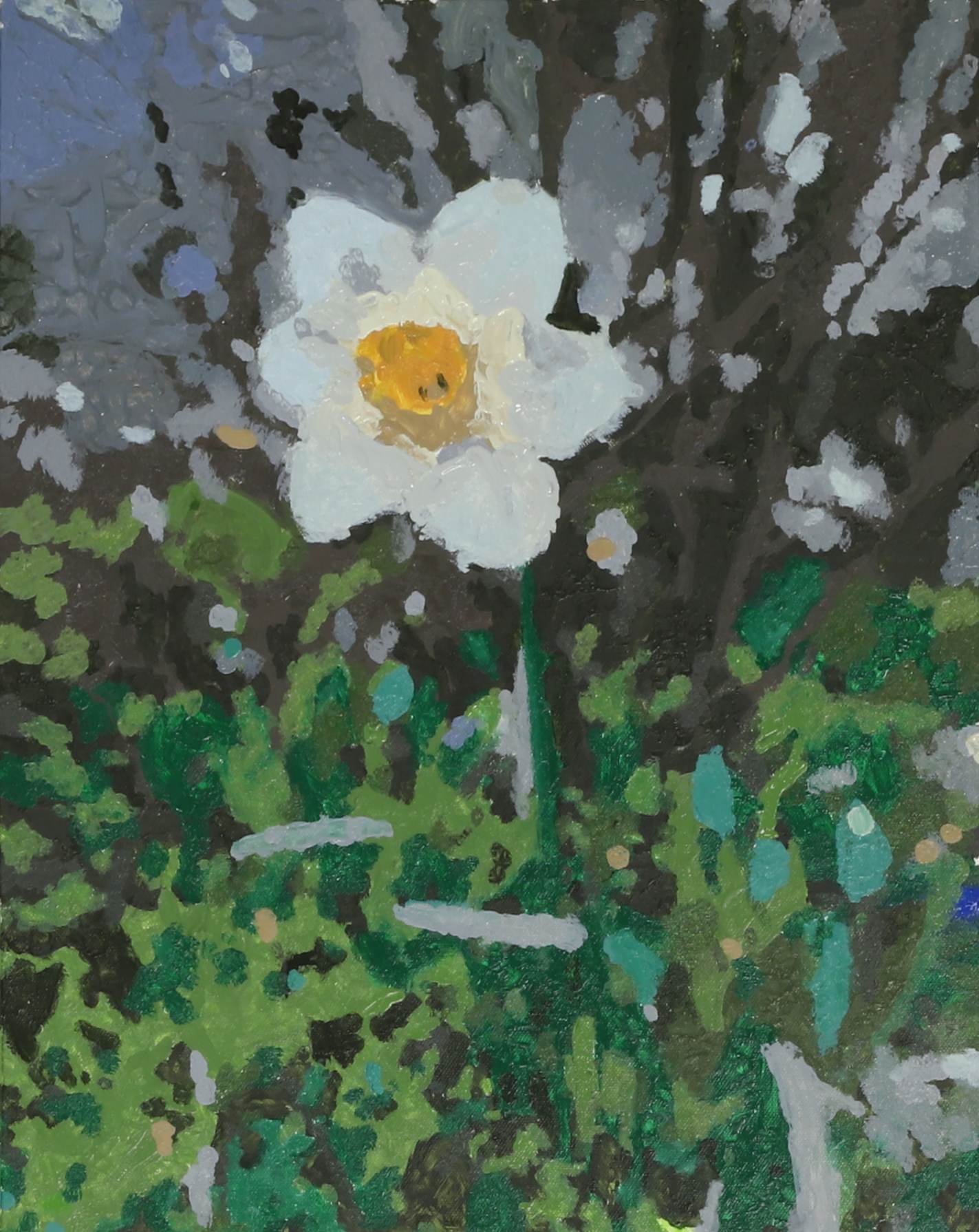 Wild Spring Flower – May&nbsp;2026